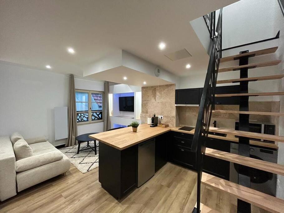 Le Darcy, Grand Appartement Centre Ville Dijon, Proche Gare Kültér fotó