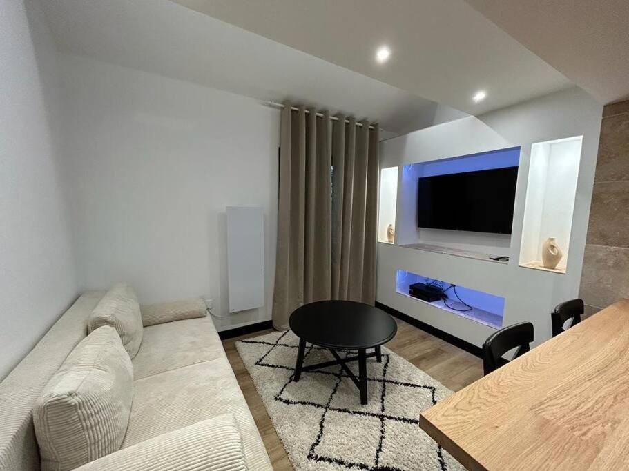 Le Darcy, Grand Appartement Centre Ville Dijon, Proche Gare Kültér fotó